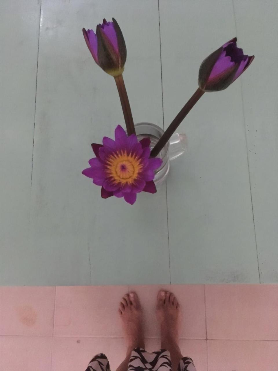 نزل فيليغامافي Layback Boutique Surf & Yoga Camp Sri Lanka المظهر الخارجي الصورة