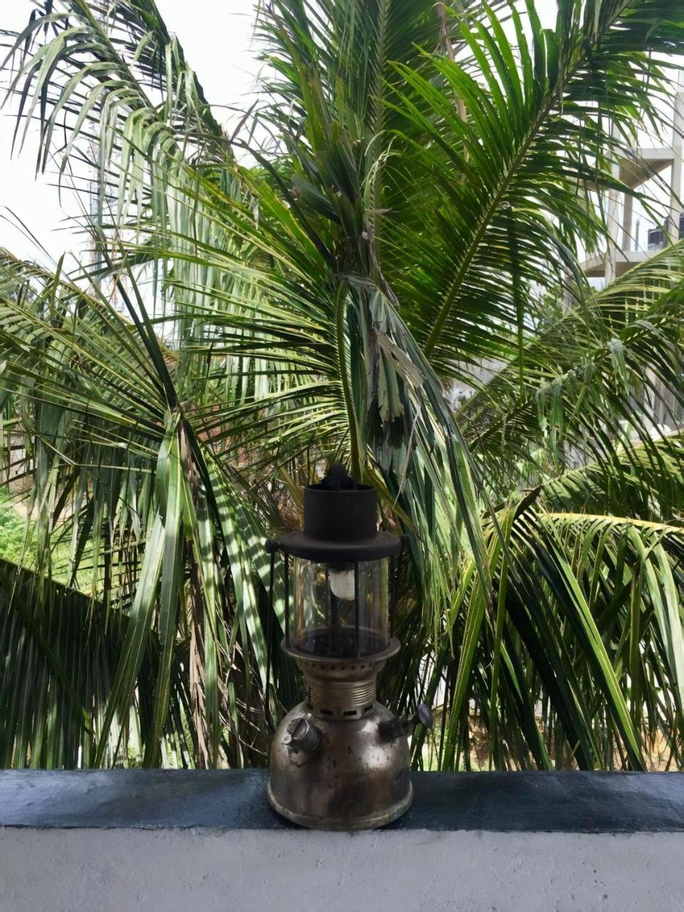 نزل فيليغامافي Layback Boutique Surf & Yoga Camp Sri Lanka المظهر الخارجي الصورة