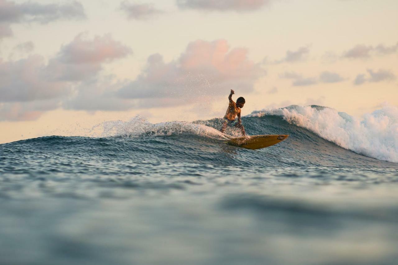 نزل فيليغامافي Layback Boutique Surf & Yoga Camp Sri Lanka المظهر الخارجي الصورة